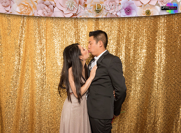 60181 - Ann + David Wedding Photobooth 2017