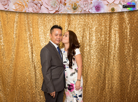 60166 - Ann + David Wedding Photobooth 2017