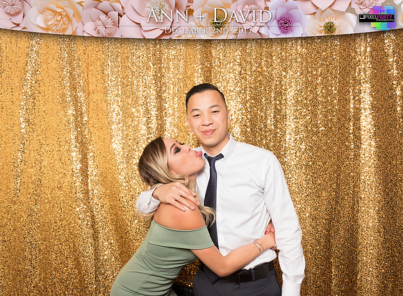 60457 - Ann + David Wedding Photobooth 2017