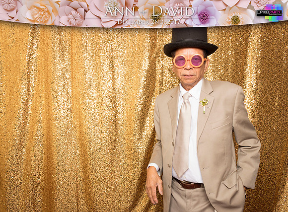 60205 - Ann + David Wedding Photobooth 2017