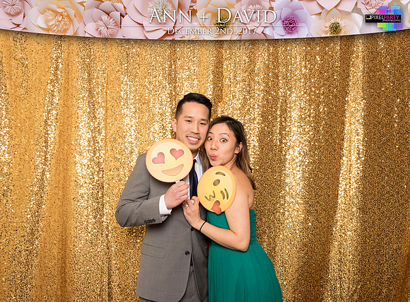 60251 - Ann + David Wedding Photobooth 2017