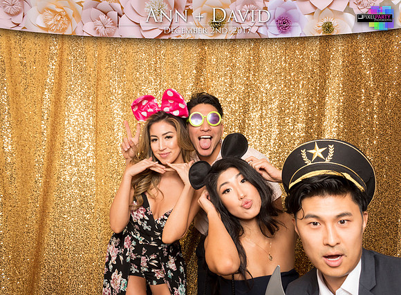 60075 - Ann + David Wedding Photobooth 2017