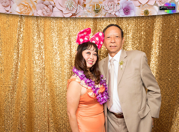60207 - Ann + David Wedding Photobooth 2017