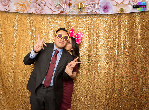 60151 - Ann + David Wedding Photobooth 2017