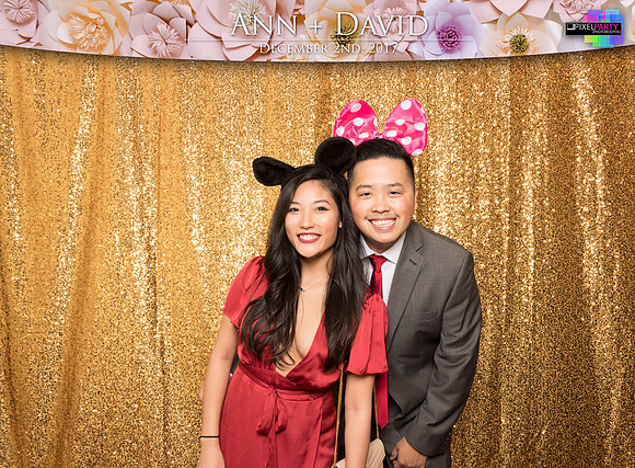 60107 - Ann + David Wedding Photobooth 2017