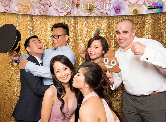 60515 - Ann + David Wedding Photobooth 2017