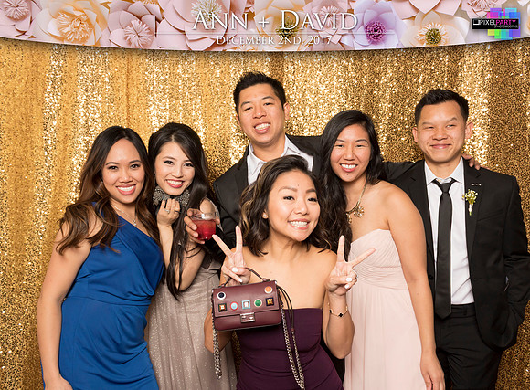 60490 - Ann + David Wedding Photobooth 2017