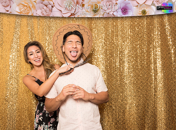 60461 - Ann + David Wedding Photobooth 2017