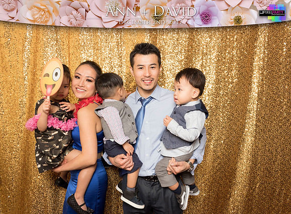 60427 - Ann + David Wedding Photobooth 2017