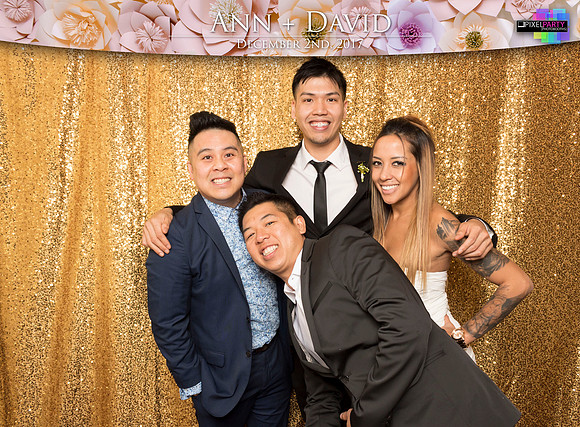 60182 - Ann + David Wedding Photobooth 2017