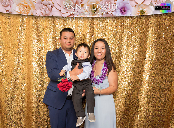 60262 - Ann + David Wedding Photobooth 2017