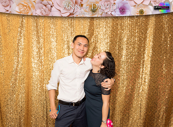 60247 - Ann + David Wedding Photobooth 2017
