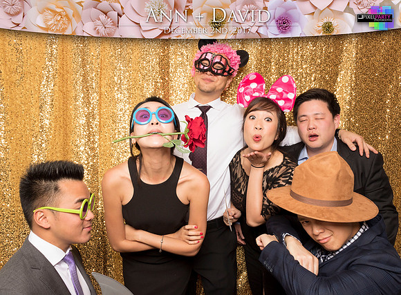 60229 - Ann + David Wedding Photobooth 2017