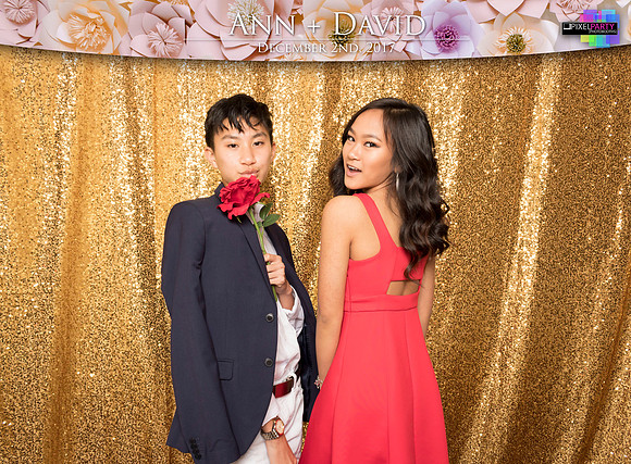 60394 - Ann + David Wedding Photobooth 2017