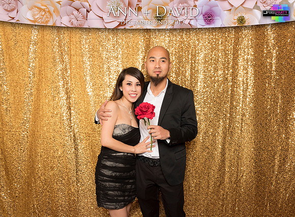 60171 - Ann + David Wedding Photobooth 2017