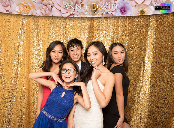 60235 - Ann + David Wedding Photobooth 2017