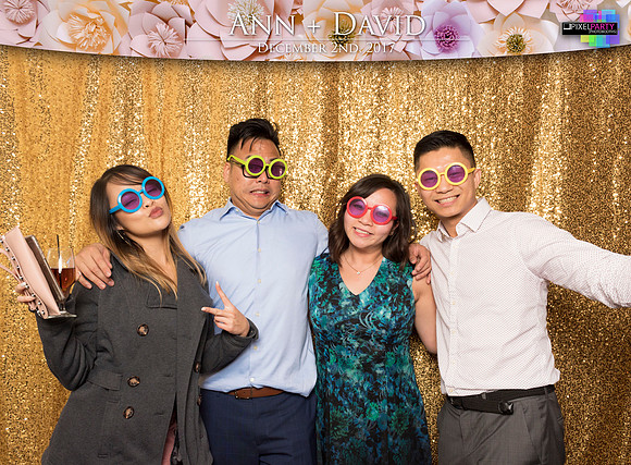 60503 - Ann + David Wedding Photobooth 2017