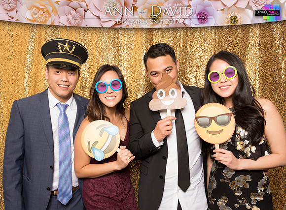 60494 - Ann + David Wedding Photobooth 2017