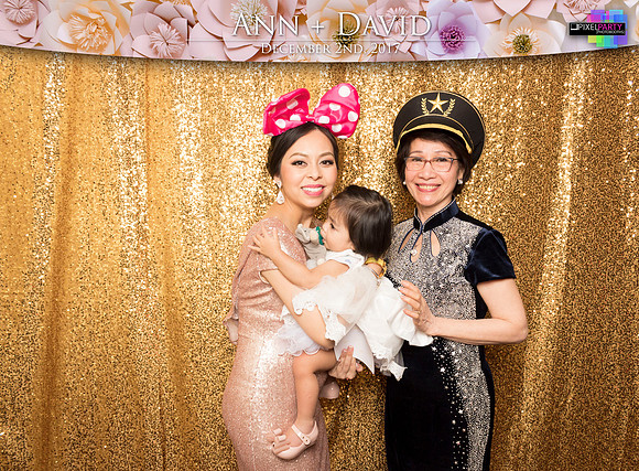 60401 - Ann + David Wedding Photobooth 2017