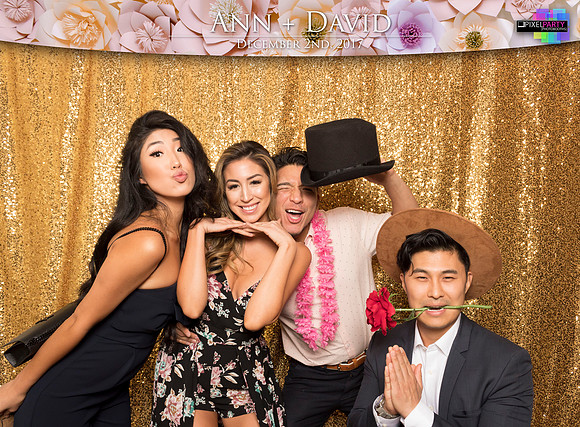 60073 - Ann + David Wedding Photobooth 2017