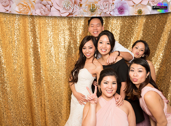 60550 - Ann + David Wedding Photobooth 2017