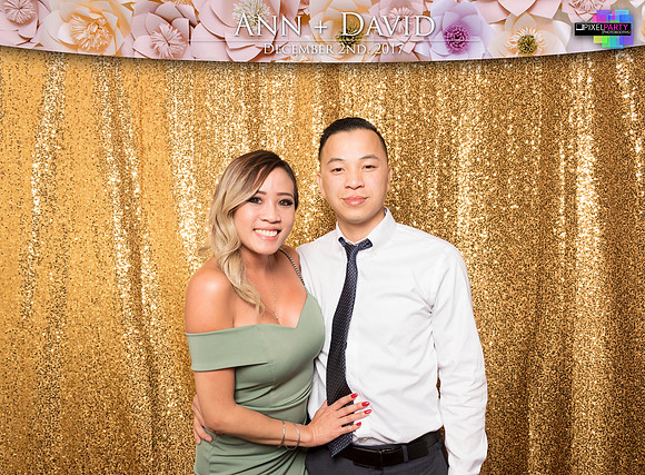 60455 - Ann + David Wedding Photobooth 2017