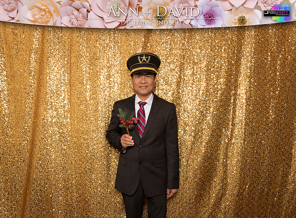 60056 - Ann + David Wedding Photobooth 2017
