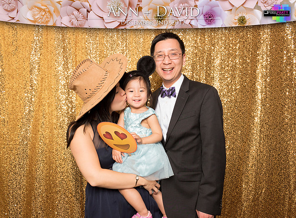 60268 - Ann + David Wedding Photobooth 2017