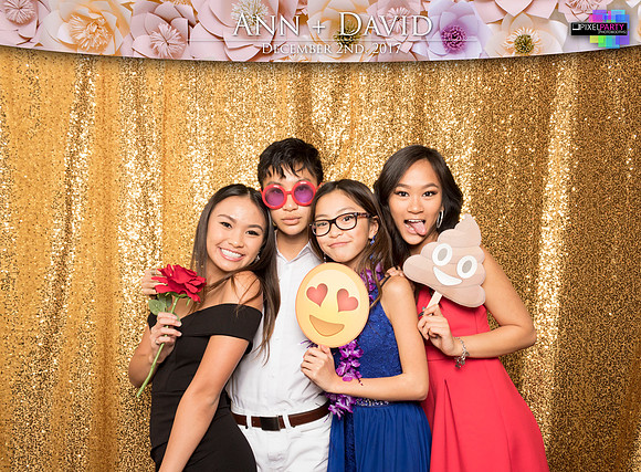 60225 - Ann + David Wedding Photobooth 2017