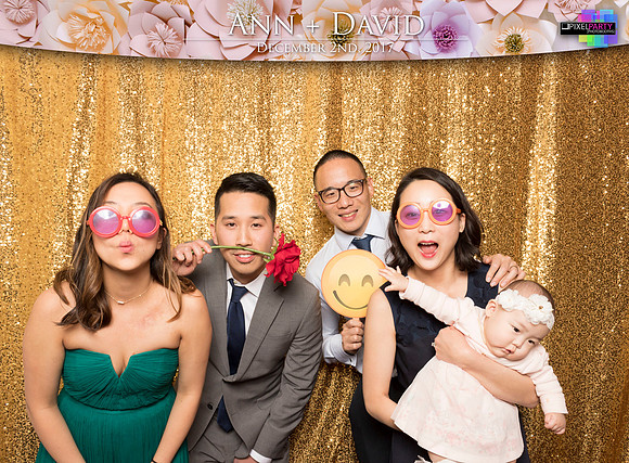 60254 - Ann + David Wedding Photobooth 2017
