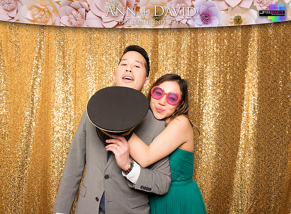 60253 - Ann + David Wedding Photobooth 2017