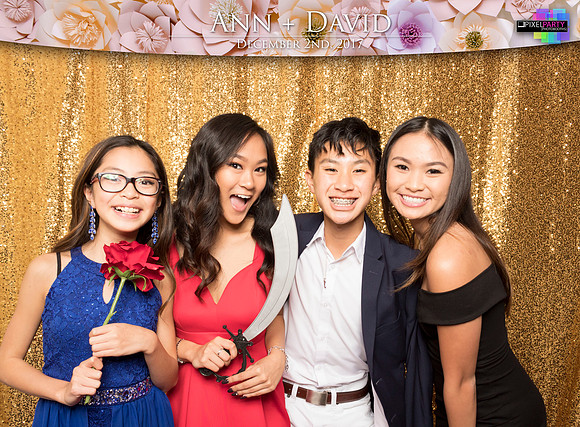 60233 - Ann + David Wedding Photobooth 2017