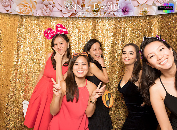 60220 - Ann + David Wedding Photobooth 2017