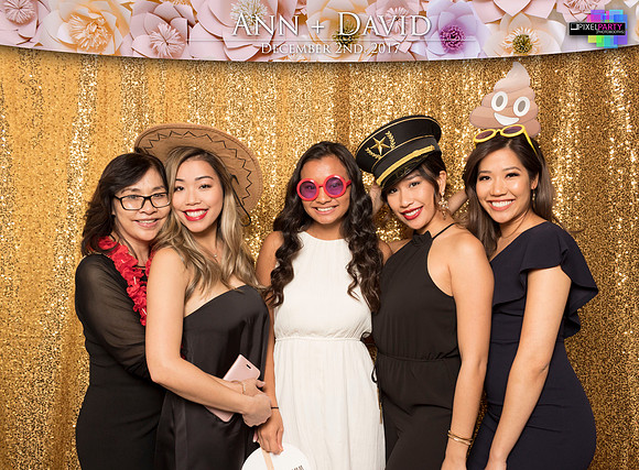 60269 - Ann + David Wedding Photobooth 2017