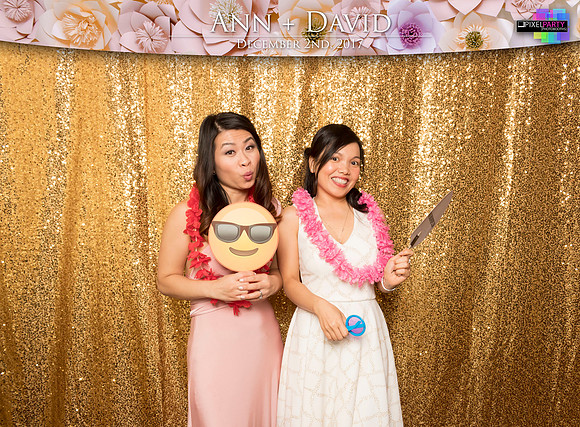 60282 - Ann + David Wedding Photobooth 2017