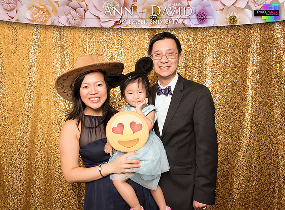 60266 - Ann + David Wedding Photobooth 2017
