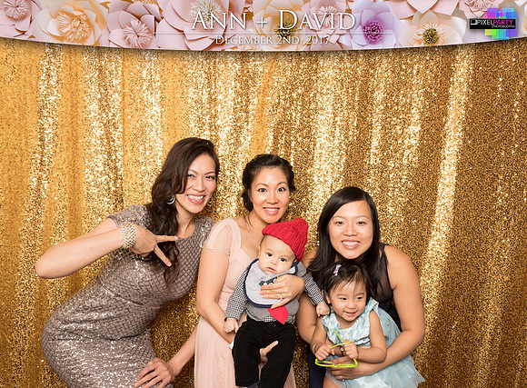 60327 - Ann + David Wedding Photobooth 2017