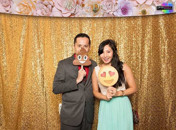 60102 - Ann + David Wedding Photobooth 2017