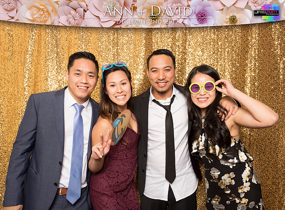 60495 - Ann + David Wedding Photobooth 2017