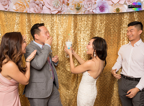 60533 - Ann + David Wedding Photobooth 2017