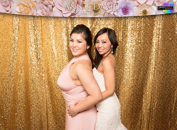 60521 - Ann + David Wedding Photobooth 2017