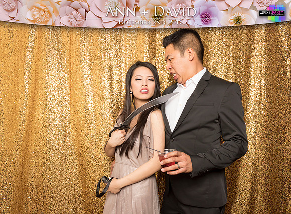 60492 - Ann + David Wedding Photobooth 2017
