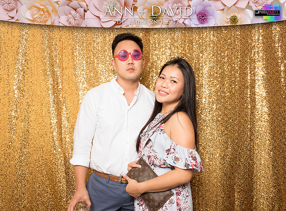 60449 - Ann + David Wedding Photobooth 2017