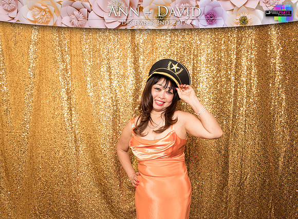 60153 - Ann + David Wedding Photobooth 2017