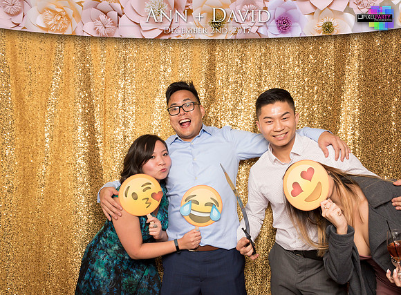 60502 - Ann + David Wedding Photobooth 2017