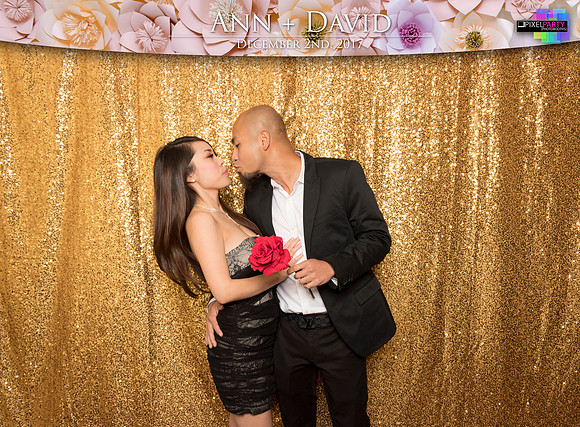 60172 - Ann + David Wedding Photobooth 2017