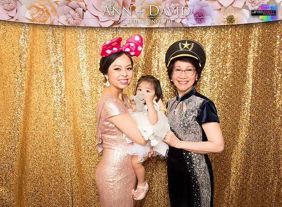 60402 - Ann + David Wedding Photobooth 2017