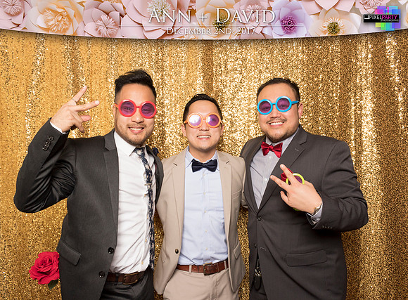 60482 - Ann + David Wedding Photobooth 2017
