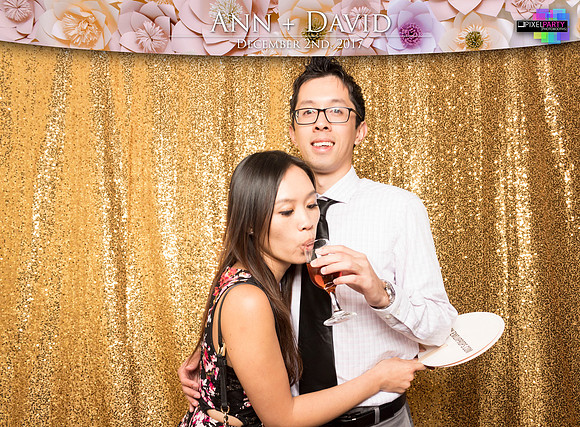 60469 - Ann + David Wedding Photobooth 2017