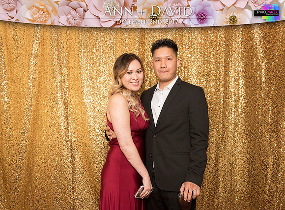 60161 - Ann + David Wedding Photobooth 2017